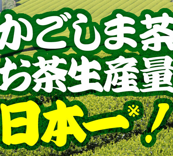 鹿児島県が荒茶生産量日本一に輝きました!